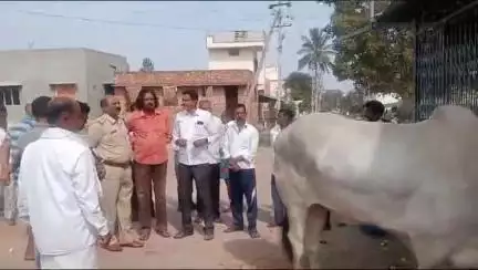 ಮೈಸೂರು: ಅನಗಳ್ಳಿಯಲ್ಲಿ ಕಿಡಿಗೇಡಿಗಳಿಂದ ಮಚ್ಚಿನ ಏಟಿನಿಂದ ಗಾಯಗೊಂಡಿದ್ದ ಬಸವ ನರಳಿ ನರಳಿ ಸಾವು ಗೋಪುರ ನಿರ್ಮಿಸುವಂತೆ ಗ್ರಾಮಸ್ಥರ ಮನವಿ:localissue
