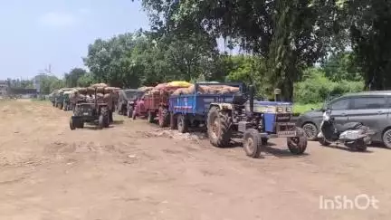 અડાજણ: શહેરમાં ખેડૂતોને ડાંગરનો ભાવ નહીં મળતા નિરાશા, રૂ. 500ના બદલે 300 થી 400 રૂપિયામાં કરી રહ્યા છે વેપારીઓ ખરીદી