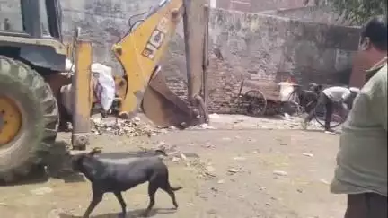 अमरोहा: बकरीद पर अमरोहा नगर पालिका ने लगाए 50 सीसीटीवी कैमरे, साफ-सफाई के लिए बेहतर इंतजाम और निगरानी रखी जा रही है