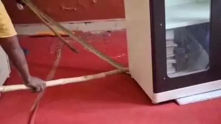 दमोह: शहर स्थित सांदीपनि स्कूल में दिखा ज़हरीला सांप, वन विभाग की टीम ने किया रेस्क्यू