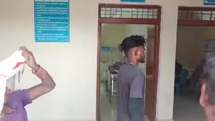 पन्ना: बृजपुर थाना क्षेत्र में बच्चे को स्तनपान करा रही महिला को विषैले जीव ने काटा, इलाज के दौरान हुई मौत