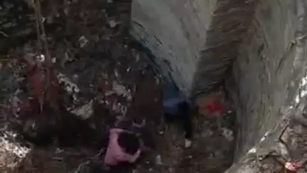 लाडपुरा: कैथून थाना इलाके के ब्रजेशपुरा गांव में 50 फीट गहरे कुएं में भैंस गिरी, रेस्क्यू का वीडियो सोशल मीडिया पर वायरल