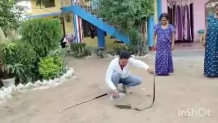 अनूपपुर: प्यास से व्याकुल नाग को सर्पप्रहरी छोटे लाल यादव ने पिलाया पानी, दिखाई इंसानियत