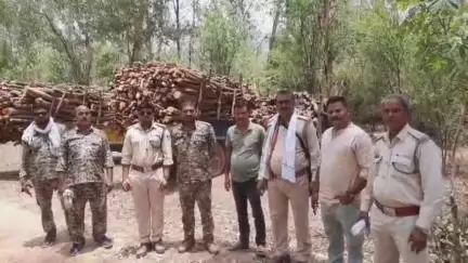 भिंड नगर: हेवदपुरा रोड से वन विभाग के अधिकारियों ने अवैध लकड़ी से भरी 3 ट्रैक्टर ट्रॉलियों को पकड़ा