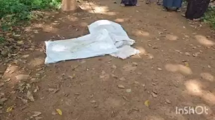 കോതമംഗലം: പുലി ഭീതിയിൽ വടാട്ടുപാറക്കാർ; ഇന്നലെ രാത്രി വളർത്തു പിടികൂടിയത് പുലി എന്ന് നാട്ടുകാർ