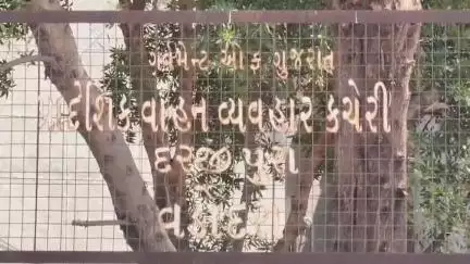 વડોદરા: RTOનું સર્વર બે દિવસથી ઠપ્પ થતા અરજદારોને હાલાકી,અરજીઓને રીસીડ્યુલ કરાઈ