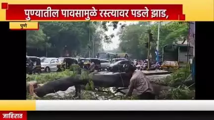 पुणे शहर: पुण्यातील पावसामुळे रस्त्यावर पडले झाड, हिंजवडीत गाड्या पाण्यात वाहून गेल्या