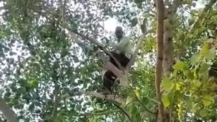 कासगंज: नगला बरी गाँव में गले में फंदा डालकर पेड़ पर चढ़ा ग्रामीण, कई घंटों तक किया हाईवोल्टेज ड्रामा