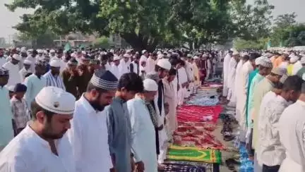 सिवान: सिवान में त्याग और बलिदान का पर्व बकरीद धूमधाम से मनाया गया