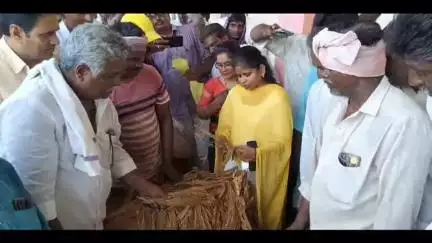 పర్చూరులో వ్యవసాయ మార్కెట్ యార్డ్ నందు  నల్లబర్లి పొగాకు కొనుగోలు కేంద్రాన్ని ప్రారంభించిన మార్క్ ఫైడ్ డిఎం కరుణశ్రీ