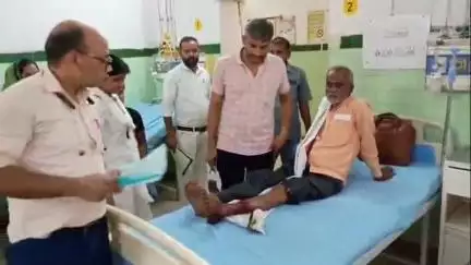 बरेली: बरेली शहर से लेकर देहात तक आवारा कुत्तों का आतंक जारी, गोल्डन ग्रीन पार्क में एक व्यक्ति पर आवारा कुत्ते ने किया हमला