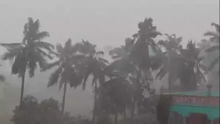 అనకాపల్లి జిల్లాలో ఈదురుగాలితో కూడిన భారీ వర్షం నిలిచిపోయిన విద్యుత్ సరఫరా