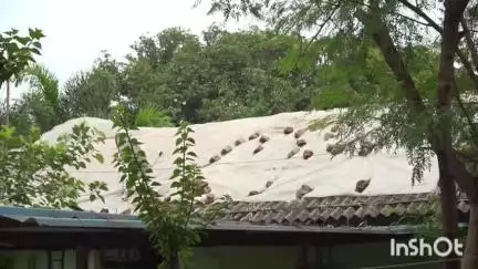 अंबिकापुर: अंबिकापुर शहर में पीडब्ल्यूडी के द्वारा बनाए गए सरकारी आवास जर्जर अधिकारी कर्मचारी परेशान
#jansamasya
