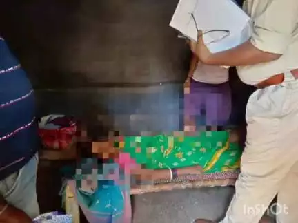 नीमडीह: महुआ फल कोचड़ा चुनने गई महिला को हाथियों के झुंड ने पटका, मौत, एक महिला घायल