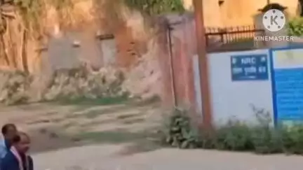 छपरा: खास पट्टी गांव में प्रेमी ने प्रेमिका के पिता को चाकू मारकर उतारा मौत के घाट, प्रेमी-प्रेमिका हिरासत में