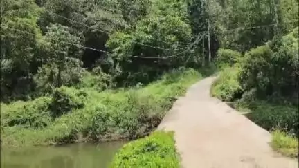 ഇടുക്കി: കൊന്നത്തടി പണിക്കൻകുടി ചെമ്പകപ്പാറ റോഡ് നിർമ്മാണം വൈകുന്നു, സ്കൂൾ വിദ്യാർത്ഥികൾ ഉൾപ്പെടെ ദുരിതത്തിൽ #localissue