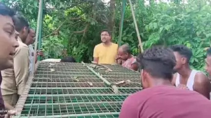 কোচবিহার ১: কোচবিহার ঘুঘুমারি এলাকায় বন বিভাগের পক্ষ থেকে বসানো হল বাঘ ধরার খাঁচা