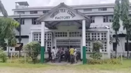 আলিপুরদুয়ার ২: বন্ধ হয়ে গেল তুরতুরি চা বাগান রাতের অন্ধকারে পালিয়েছে চা বাগানের মালিকপক্ষ