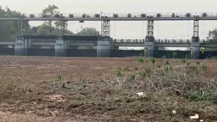 ଭଞ୍ଜନଗର: ଶୁଖିଲା ପଡିଛି ଭଞ୍ଜନଗର ଜଳଭଣ୍ଡାର, ପ୍ରତିକ୍ରିୟା ରଖିଲେ ମତ୍ସ୍ୟଜୀବୀ #jansamasya