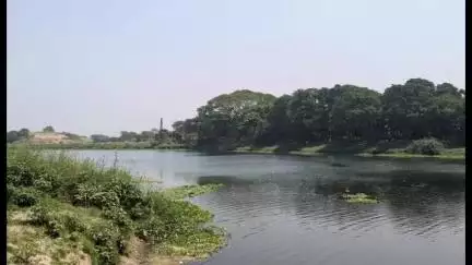 কৃষ্ণনগর ১: নতুন সম্ভুনগর জলঙ্গী নদীতে মাটি ফেলায় সমস্যায় পড়েছেন এলাকার মৎস্যজীবী থেকে শুরু করে চাষিরা #jansamasya