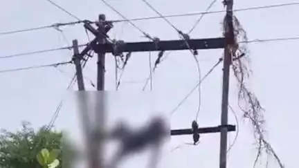 रायसेन: ग्राम मोकलवाड़ा के पास लाइन सुधारते समय हादसा, करंट लगने से 36 वर्षीय दैनिक वेतनभोगी की मौत