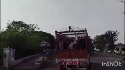 येवला: स्वामी मुक्तानंद विद्यालयाजवळ ट्रक मध्ये कोंबून नेणारे वीस गोवंश जनावरे येवला पोलिसांनी केले जप्त