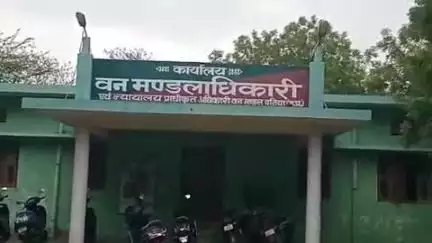 दतिया नगर: वन विभाग ने निचरौली के जंगल से लाखों रुपए की खैर की लकड़ी जब्त की, मामला दर्ज: डीएफओ