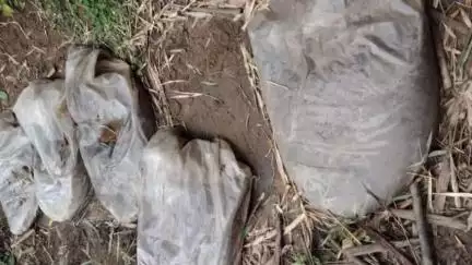 तुमसर: आंबागड येथे हातभट्टीच्या दारू अड्ड्यावर आंधळगाव पोलिसांची धाड, ८ हजार रुपयांचा मुद्देमाल जप्त