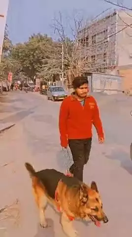 करनैलगंज: Kahi bhi ye dog dikhe to turant iss number pe call kare 9335723809