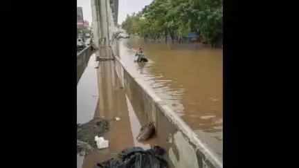 हवेली: हिंजवडी येथे अचानक झालेल्या मुसळधार पावसाने रस्त्यावर एखाद्या नदीप्रमाणे पाणी साचल्याचे दृश्य आले समोर.