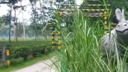 জলপাইগুড়ি: গরুমারায় গন্ডার রক্ষায় হাই অ্যালার্ট বন দফতরের, অভিযান জোরদার