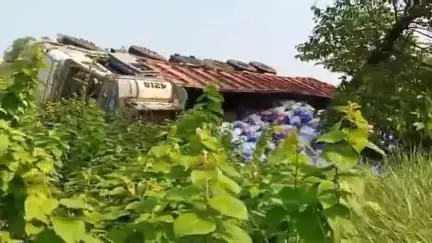 দাঁতন ১: মালপাড়া এলাকায় জাতীয় সড়কে ধারে উল্টে গেল মুরগির খাবার বোঝাই লরি