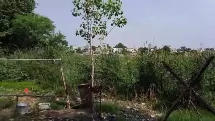 नागपूर शहर: नागपूर शहरात तलाव राहिलेत कुठे तलावाचे झाले गार्डन, उद्भवत आहे मोठ्या समस्या #Jansamasya