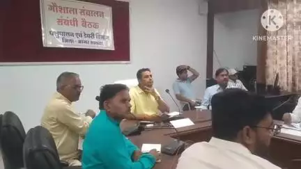 आगर: कलेक्टर राघवेन्द्र सिंह ने गौशाला संचालकों की बैठक ली, गौशालाओं को आत्मनिर्भर बनाने के दिए निर्देश