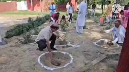 भिवानी: भिवानी में 'एक पेड़ माँ के नाम' अभियान के तहत 31 विभिन्न प्रकार के पौधों का रोपण किया गया