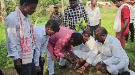 जमुआ: दलित बस्ती बदडीहा में मोदी जी के आह्वान पर भाजपा एससी मोर्चा ने 'एक पेड़ मां के नाम' अभियान चलाया