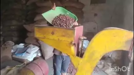 दुर्ग: खाद्य सुरक्षा एवं औषधि प्रशासन विभाग ने कोनारी गांव में चल रही सुपारी फैक्ट्री पर मारा छापा