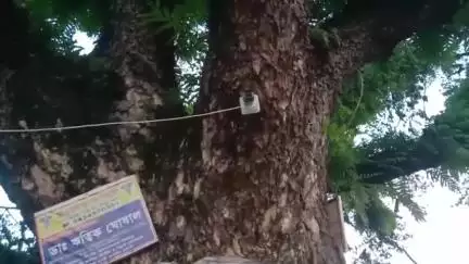 হিঙ্গলগঞ্জ: হিঙ্গলগঞ্জ থানার পুলিশের উদ্যোগে বাঁকড়া ও কালিবাড়ি এলাকায় লাগানো হলো সিসিটিভি ক্যামেরা