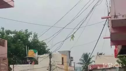 रिसोड: गुलबावडी परिसरात विद्युत तारा सरळ करण्याची मागणी महावितरणला निवेदन सादर #Jansamasya