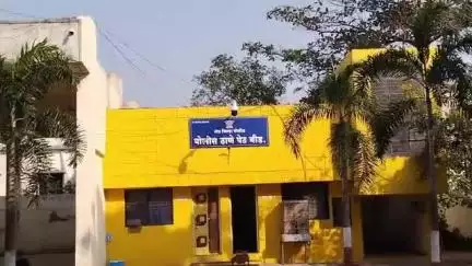 मोहमदिया कॉलनीत झाली जनावरांची तस्करी, 17 गोवंशीय जनावरांची सुटका करत तिघांवर गुन्हा दाखल