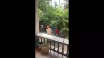 കാസര്‍ഗോഡ്: തളങ്കരയിൽ പെരുന്നാളിന് അറക്കുവാൻ കൊണ്ടുവന്ന പോത്ത് വിരണ്ടോടി