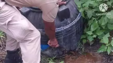 গোলাঘাট: মাটিখোলাত আবকাৰী বিভাগৰ অভিযানত এক হাজাৰ লিটাৰকৈ অধিক অবৈধ ভাবে তৈয়াৰ কৰা সুৰা জব্দ