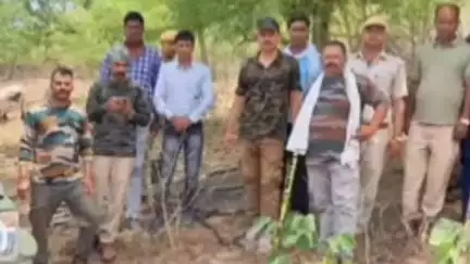 हिण्डोली: हिंडोली नेनवा केशोरायपाटन में वन क्षेत्र में अवैध खनन एवं परिवहन के खिलाफ विभाग की कार्रवाई, 5 ट्रैक्टर-ट्राली किए ज़ब्त