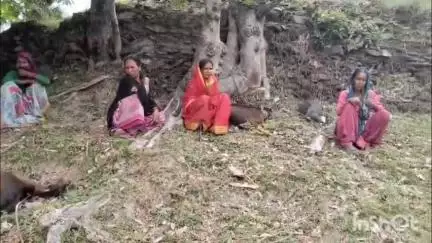 भनोली: दन्या के काभड़ी गांव में विषाक्त पदार्थ देकर बकरियों को मारने का आरोप, छह बकरियों की हुई मौत