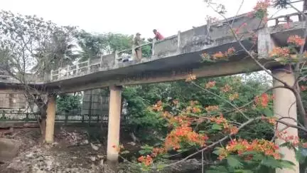 పాలకొల్లు: శిథిలావస్థలో పట్టణంలో నాగరాజు పేట కాలిబాట జిగ్‌జాగ్ వంతెన #localissue