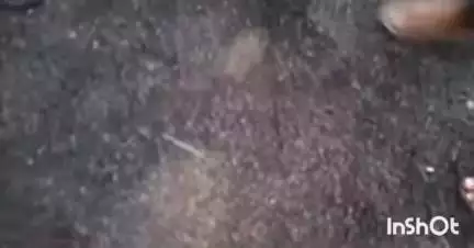 गोंदिया: रात्री बनलेल्या रस्त्याला सकाळी पडले भगदाड करंजी नवरगाव कला कामठा टी पॉईंट वरील प्रकार #jansamasya