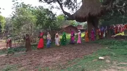 पाकरटांड: जेठ द्वादशी पर सिकरियाटांड गांव में महिलाओं ने कलश यात्रा निकालकर पीपल के पेड़ पर किया जलाभिषेक