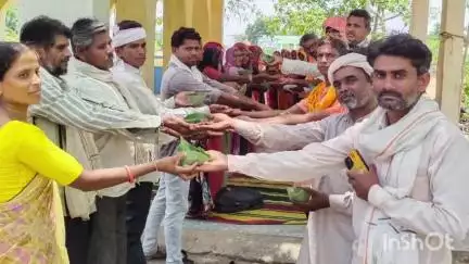 पीपलखूंट: बीज उत्सव 2025 संपन्न, परंपरागत बीजों के संरक्षण और आदिवासी स्वराज की चेतना का संगम