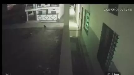 सतना के विराट नगर में घर के बाहर खड़ी बुलेट चोरी, सीसीटीवी में कैद हुई घटना, पुलिस जांच में जुटी