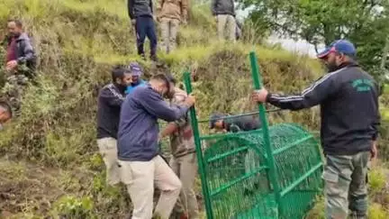 चौबट्टाखाल: एकेश्वर ब्लॉक में ग्रामीण की मौत के बाद वन विभाग की दो टीमें तैनात, पिंजरे और ट्रैंक्विलाइजिंग टीम सक्रिय